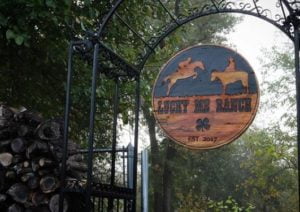Custom Horse Farm Signs