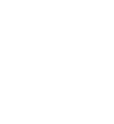 Fat Bison Workshop