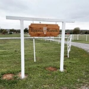 Horse Head Sign with White Fill