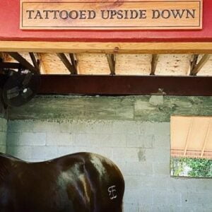 Simple Horse Stall Sign
