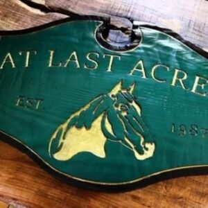 Color Horse Stall Sign with Unique Shape